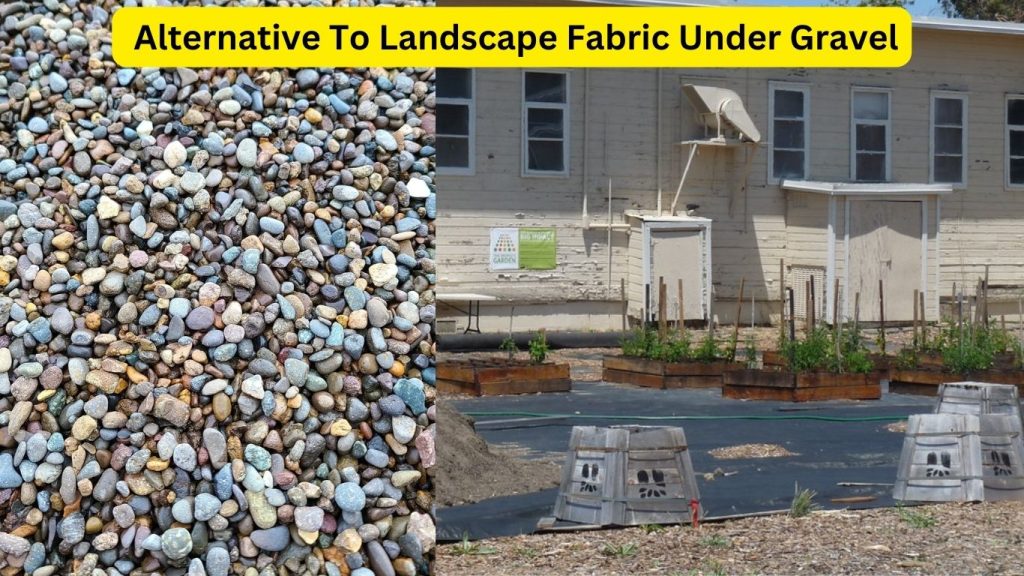 Alternative To Landscape Fabric Under Gravel