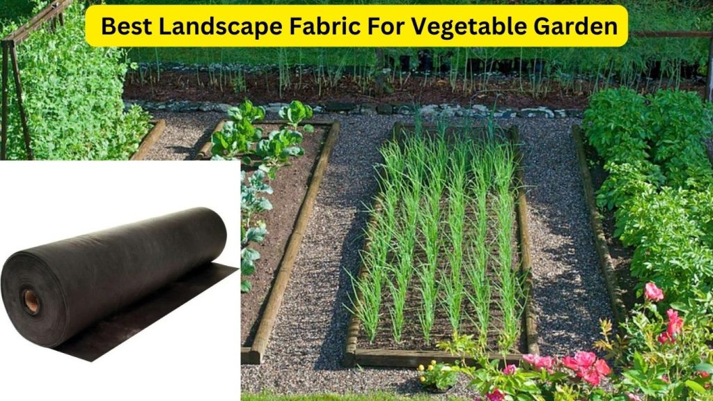 Best Landscape Fabric For Vegetable Garden