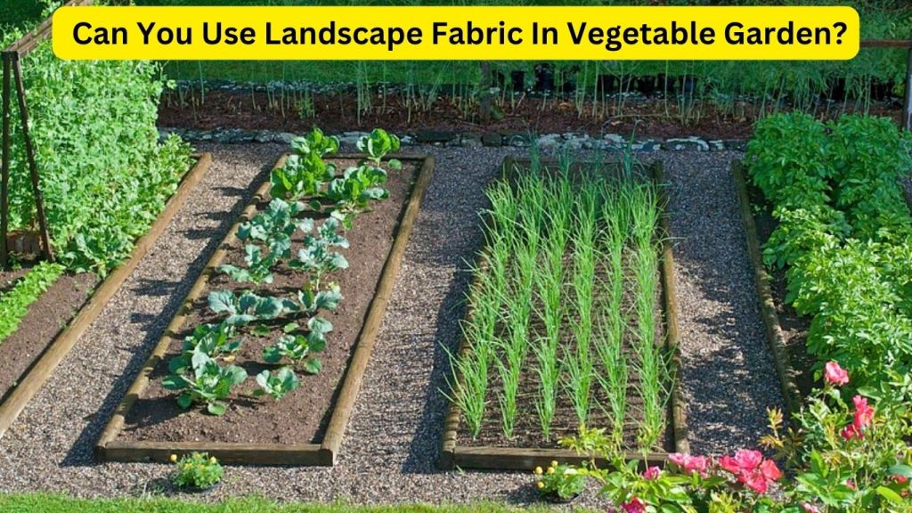 Can You Use Landscape Fabric In Vegetable Garden