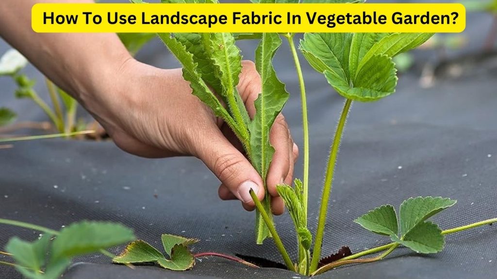 How To Use Landscape Fabric In Vegetable Garden